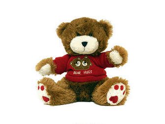 Teddy Bear Nanny Cam